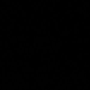 Meet your Posher, Brie